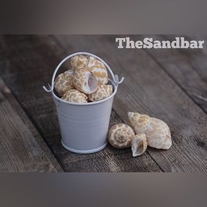 White Beach Bucket with Seashells Miniatures Tiny Metal Beach Bucket